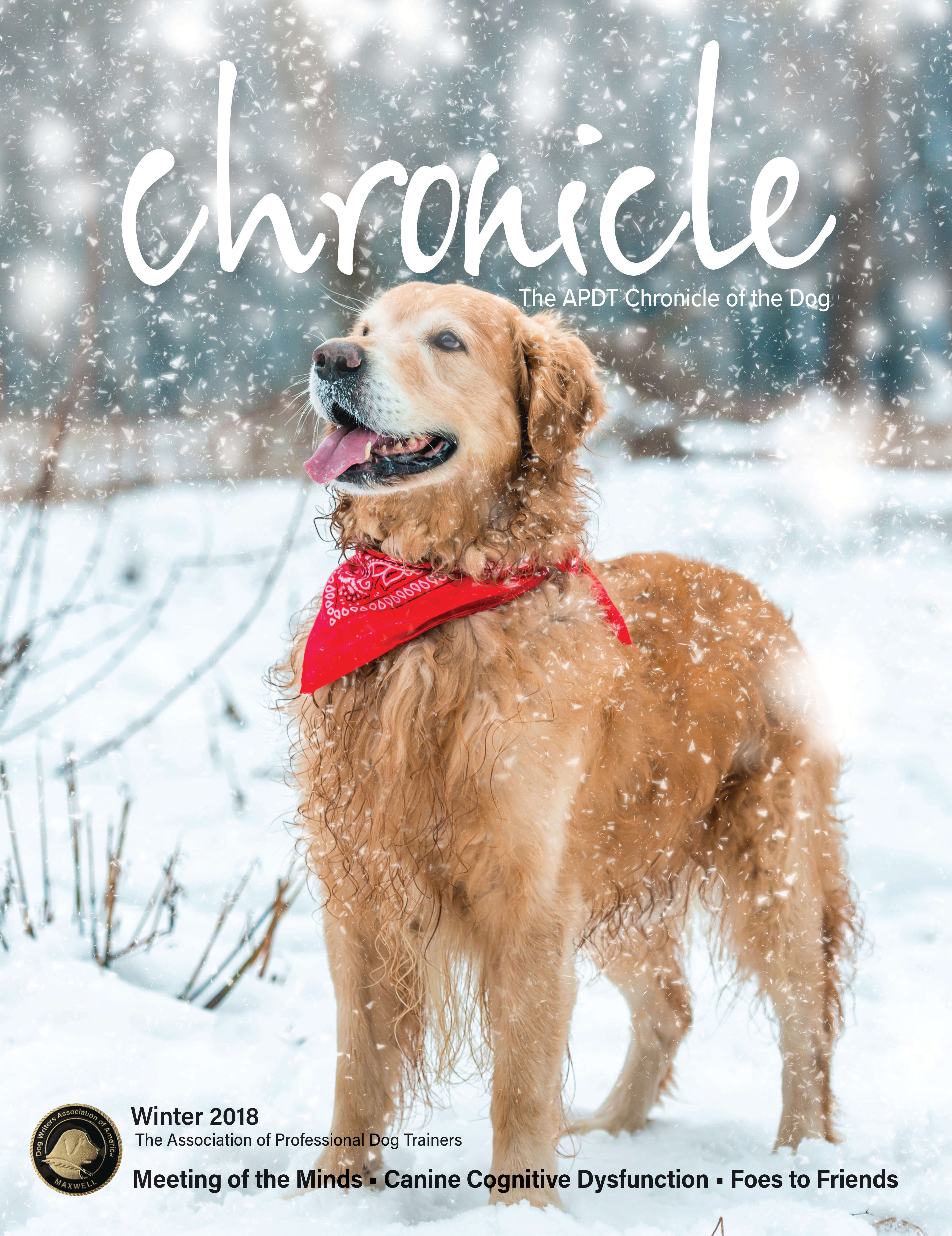 Chronical of the Dog Winter Sample