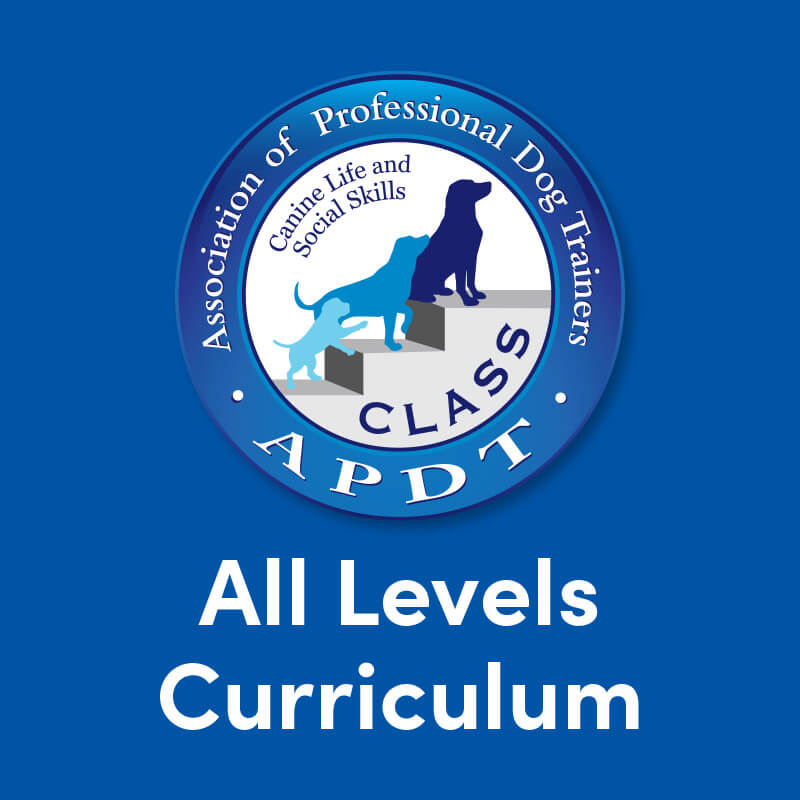 All Levels Curriculum - Bundle All 4 Levels