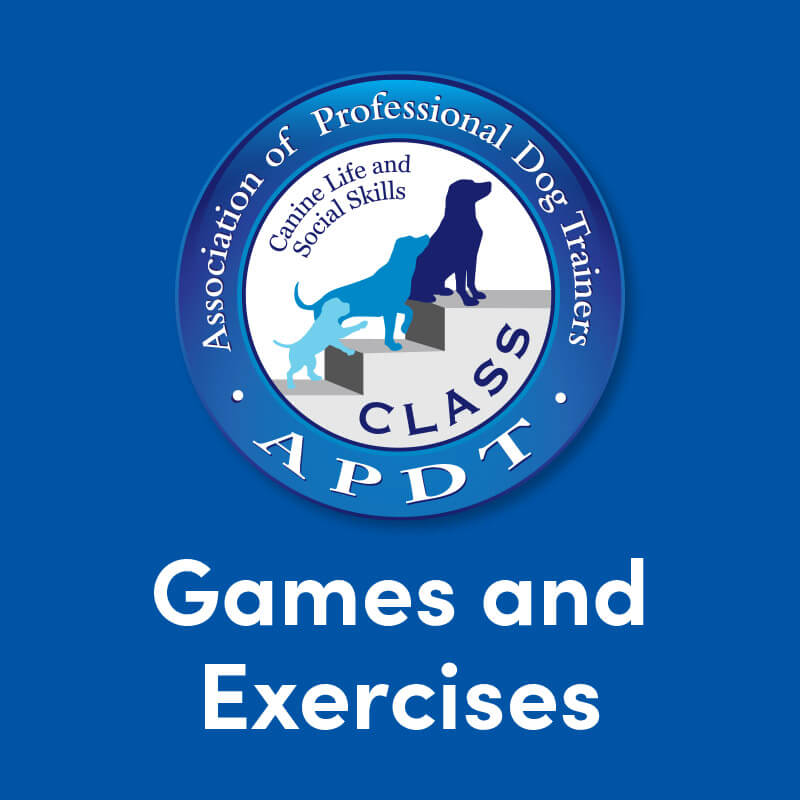 Games & Exercises