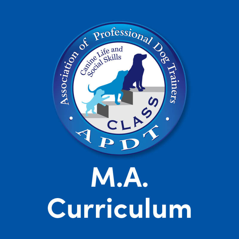 Curriculum - MA
