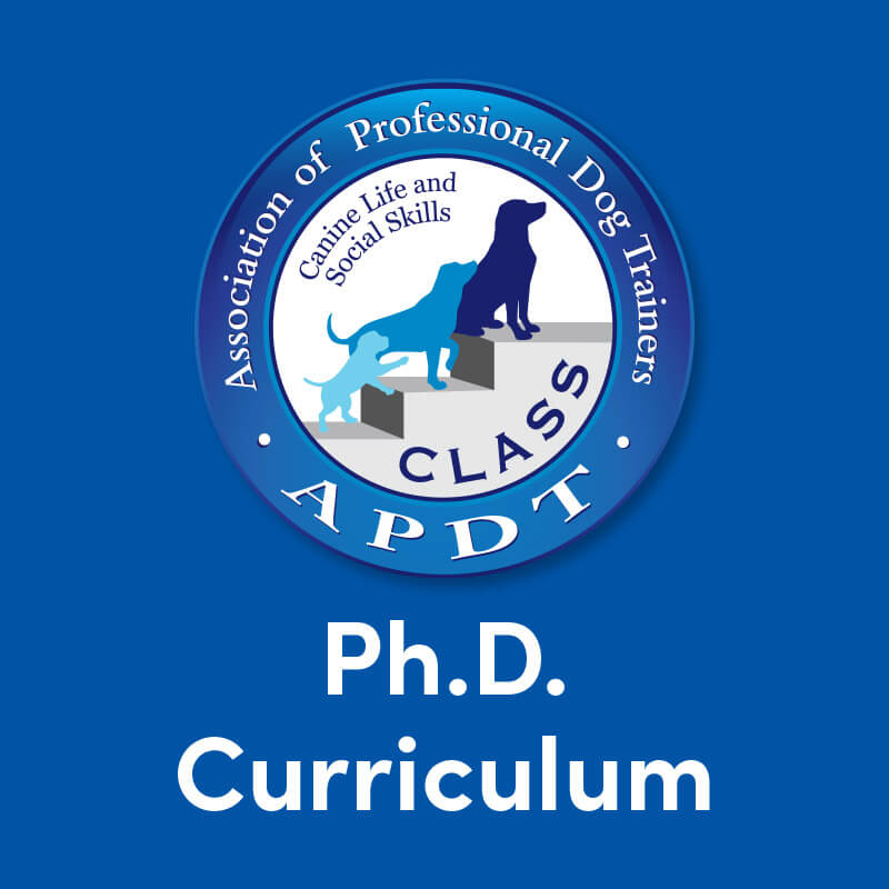 Curriculum - PhD